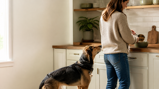Why Is My Dog’s Poop Soft? Common Causes and What to Do