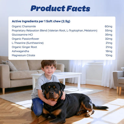 Calming Chews for Dogs