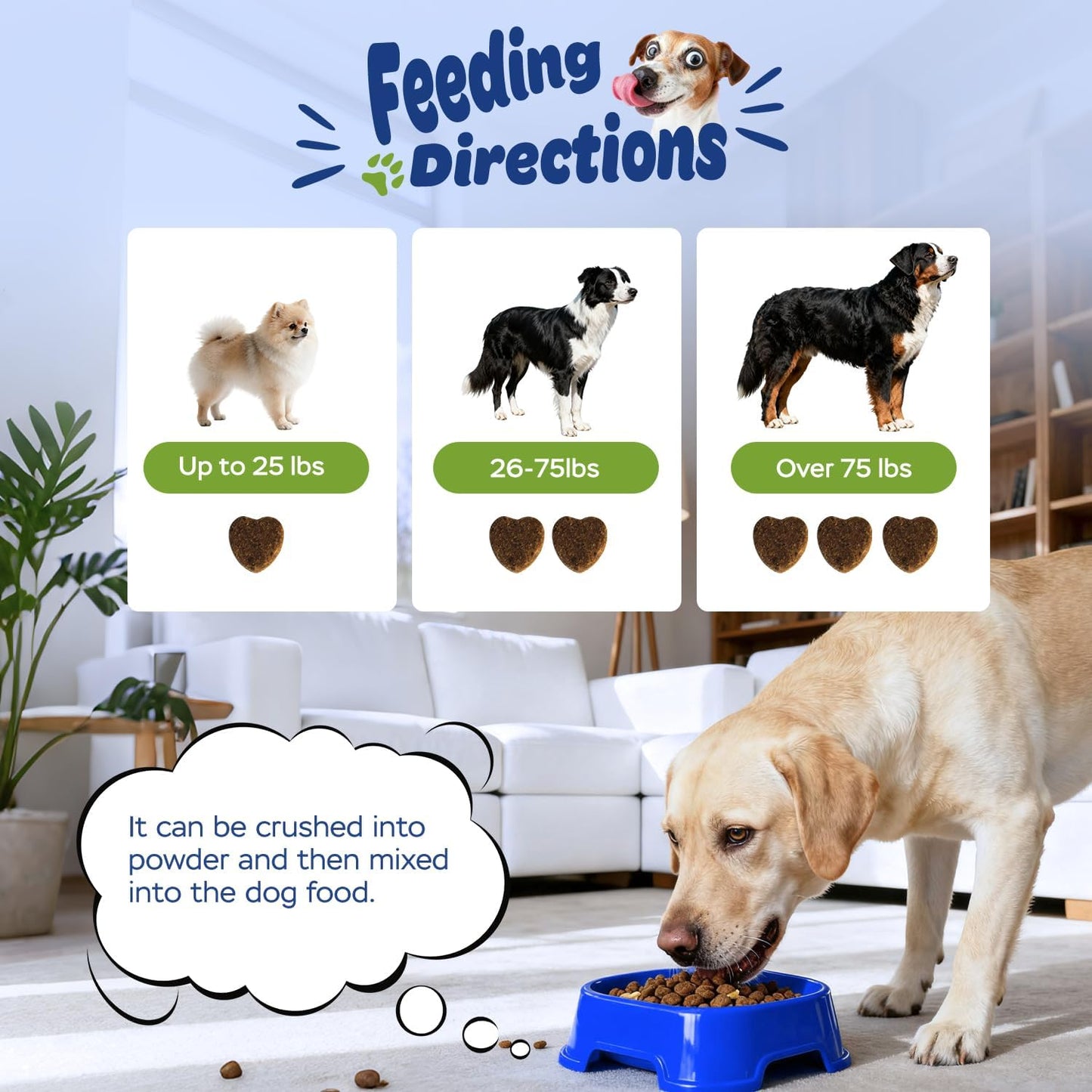 Calming Chews for Dogs