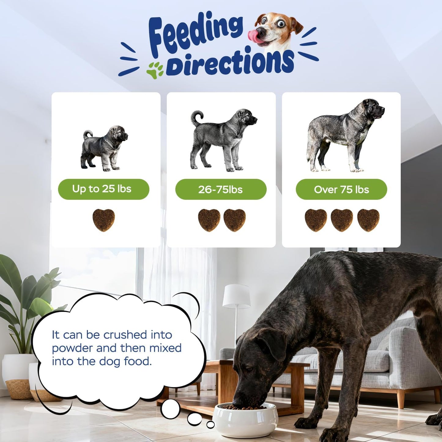 11-in-1 Muscle & Weight Support Chews for Dogs