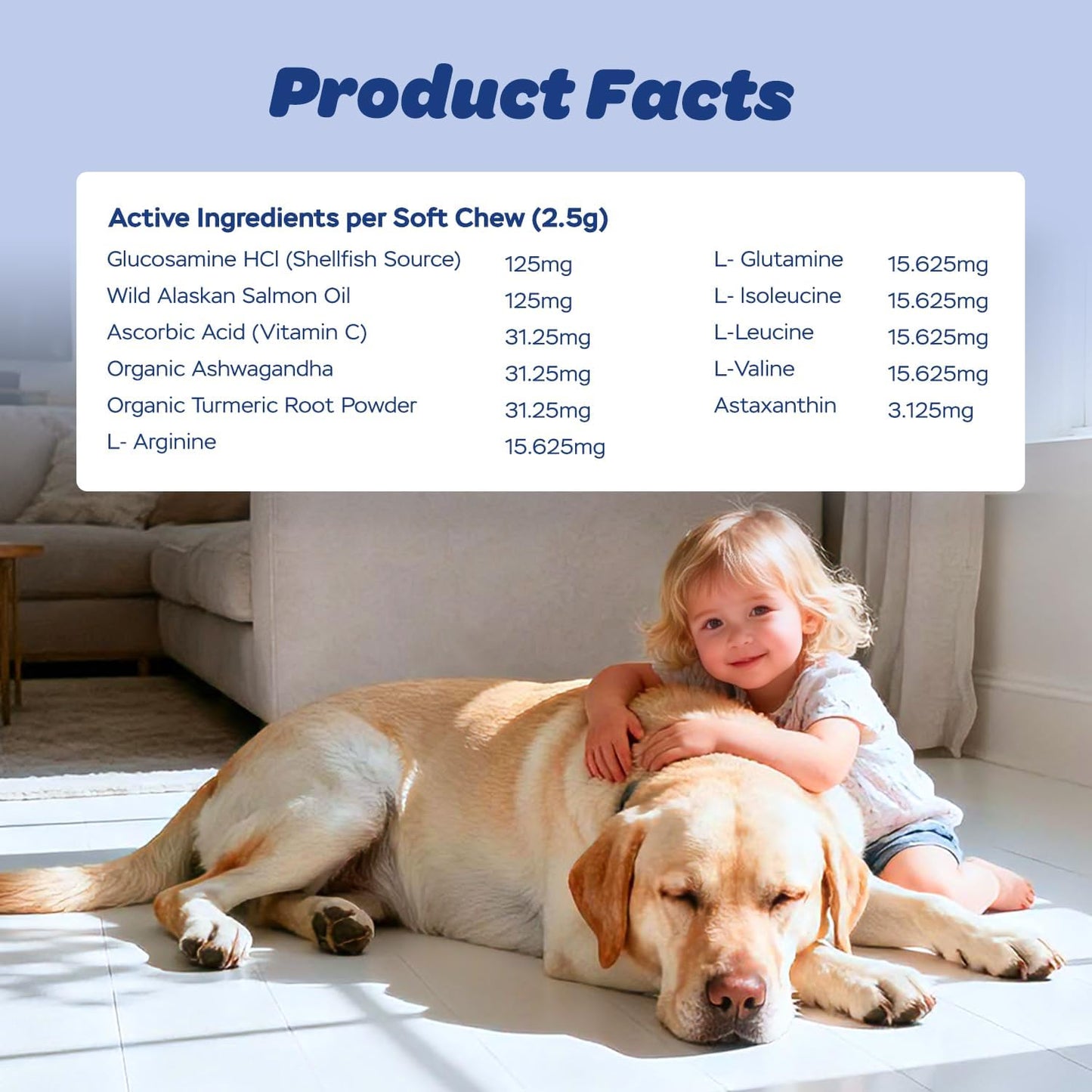 11-in-1 Muscle & Weight Support Chews for Dogs