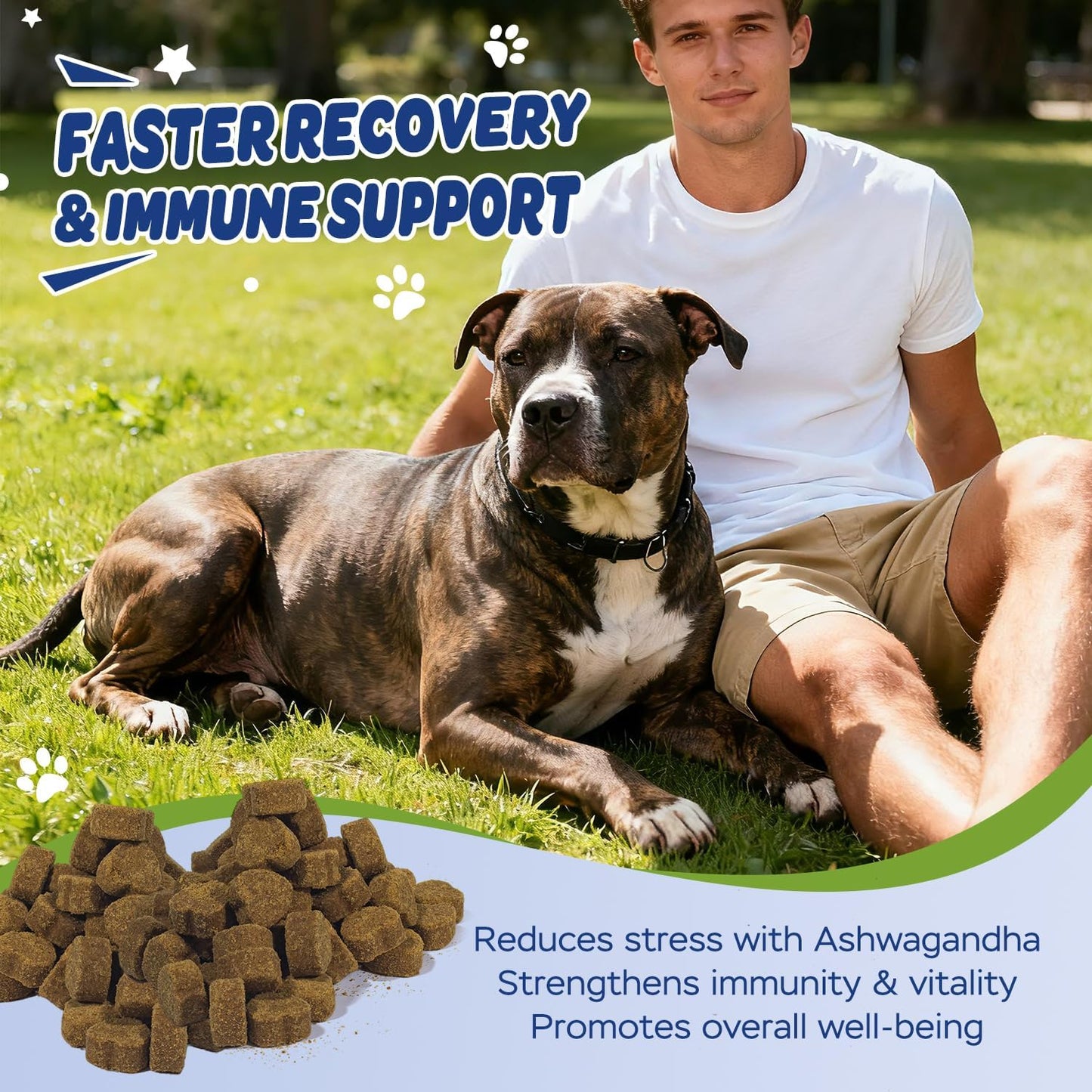 11-in-1 Muscle & Weight Support Chews for Dogs