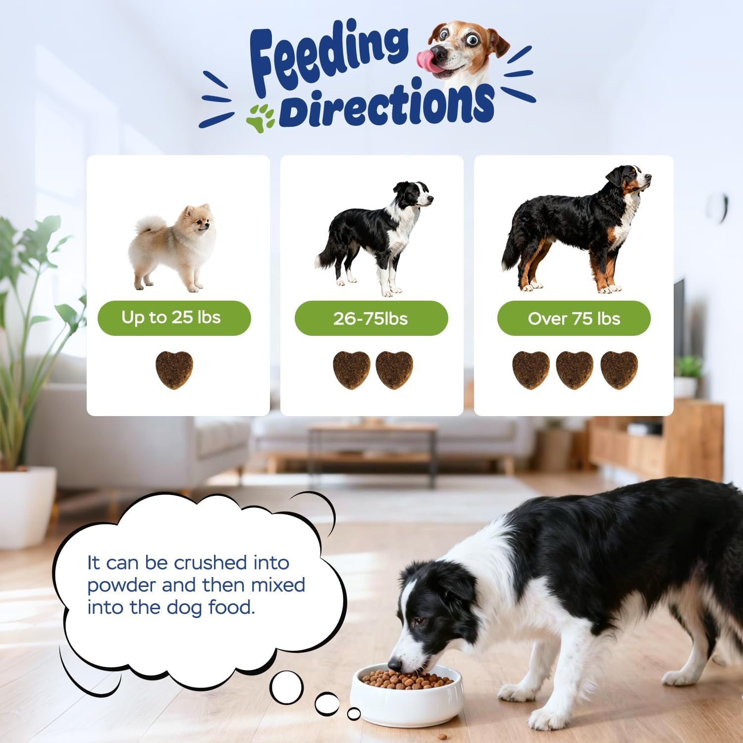 Xiderdl 8-in-1 Multivitamin Chews for Dogs feeding directions image showing weight-based serving amounts for small, medium, and large dogs, with a dog eating from a bowl.