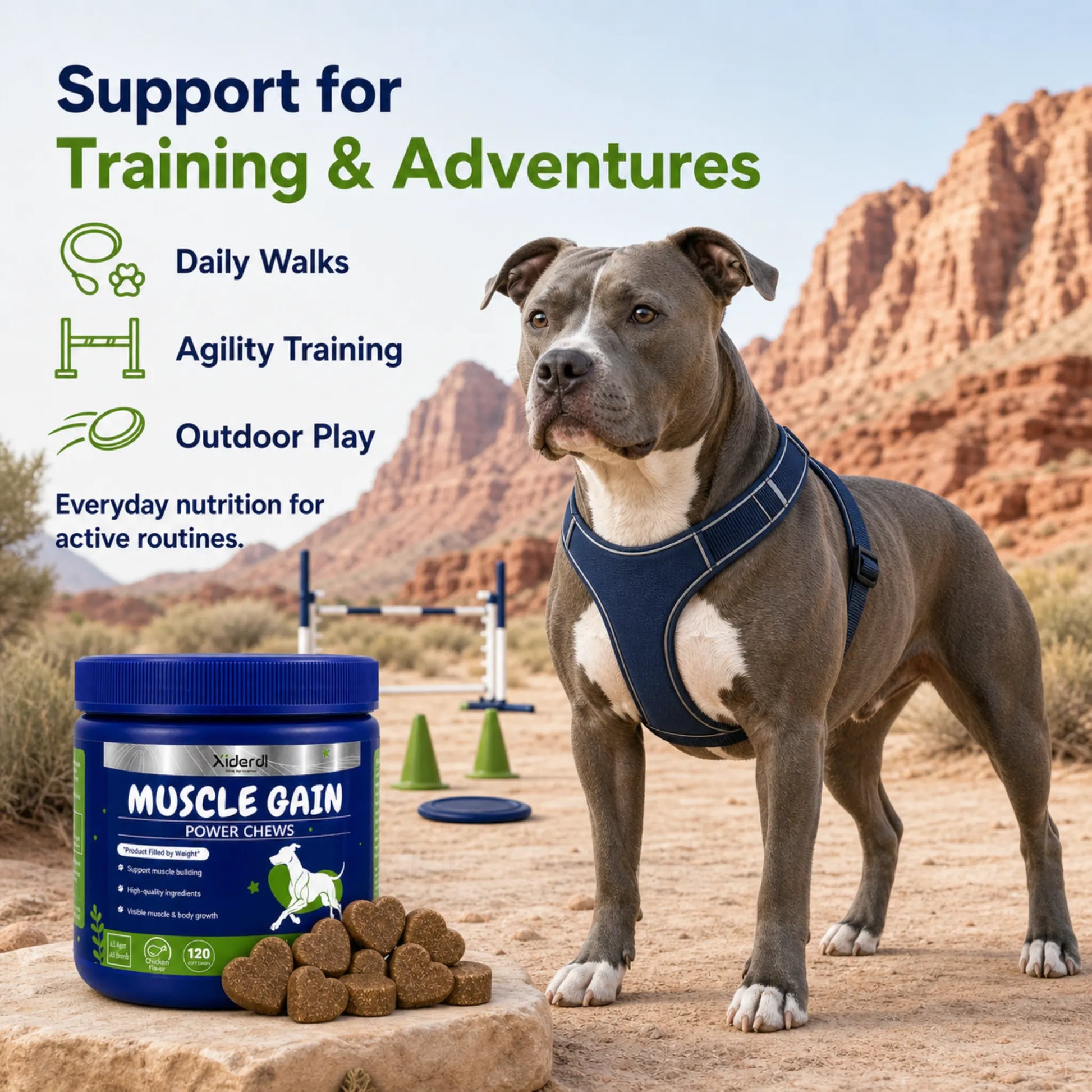 Athletic dog with Xiderdl Muscle Gain Power Chews for active routines, agility training and outdoor adventures