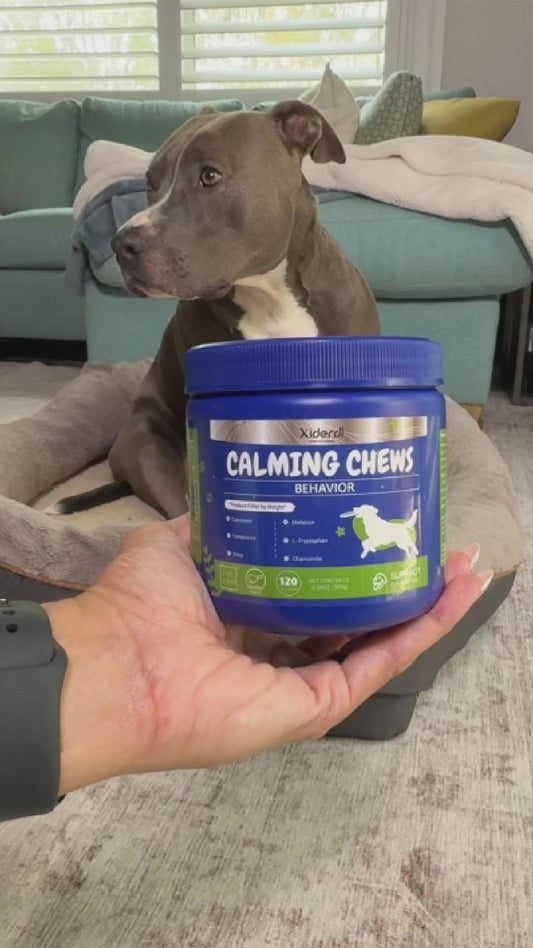 Calming Chews for Dogs