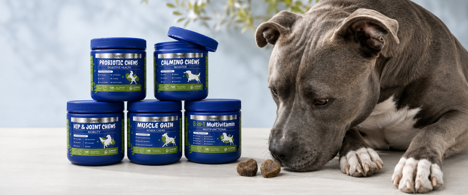 American Staffordshire Terrier with five Xiderdl dog supplement chews for digestion, calming, joints, muscle and daily wellness