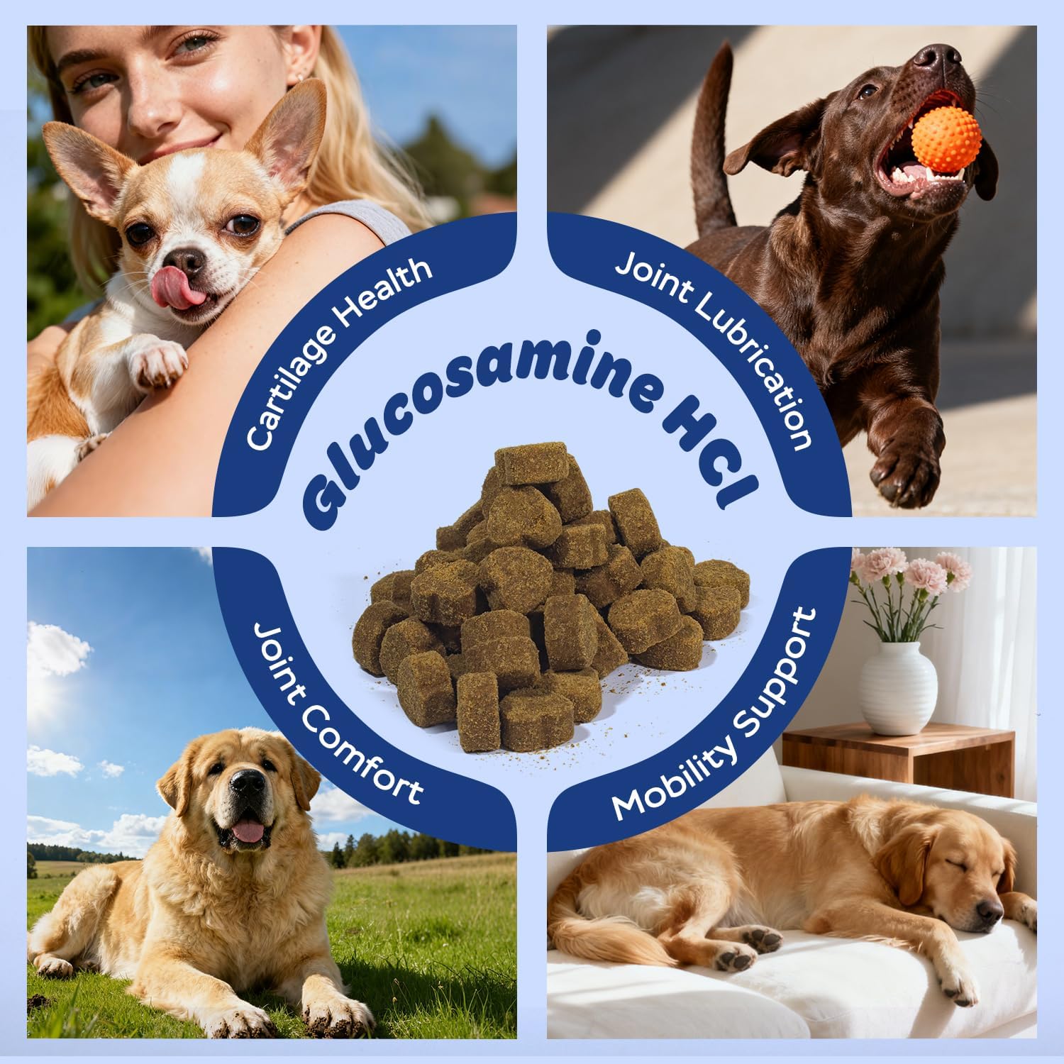 Xiderdl Hip & Joint Chews for Dogs image featuring glucosamine HCl and dogs in active and resting scenes, highlighting cartilage health, joint comfort, joint lubrication, and mobility support.
