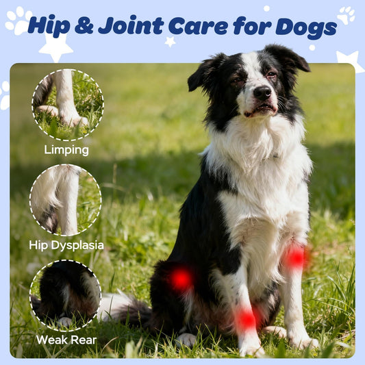Xiderdl Hip & Joint Chews for Dogs image showing a border collie in a grass field with mobility support areas highlighted for hip and joint care.
