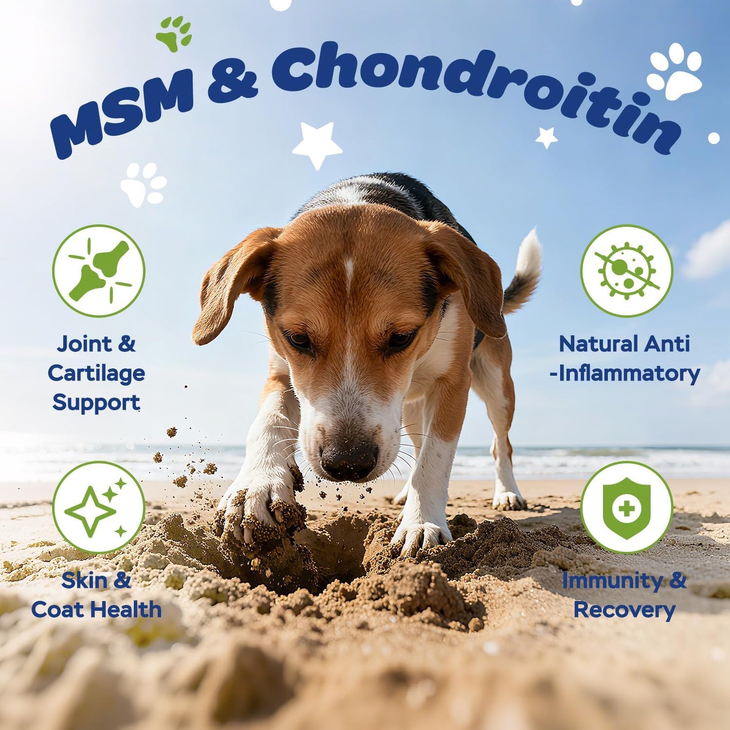 Xiderdl Hip & Joint Chews for Dogs image showing a beagle at the beach with MSM and chondroitin benefits for joint, cartilage, skin, coat, and immune support.