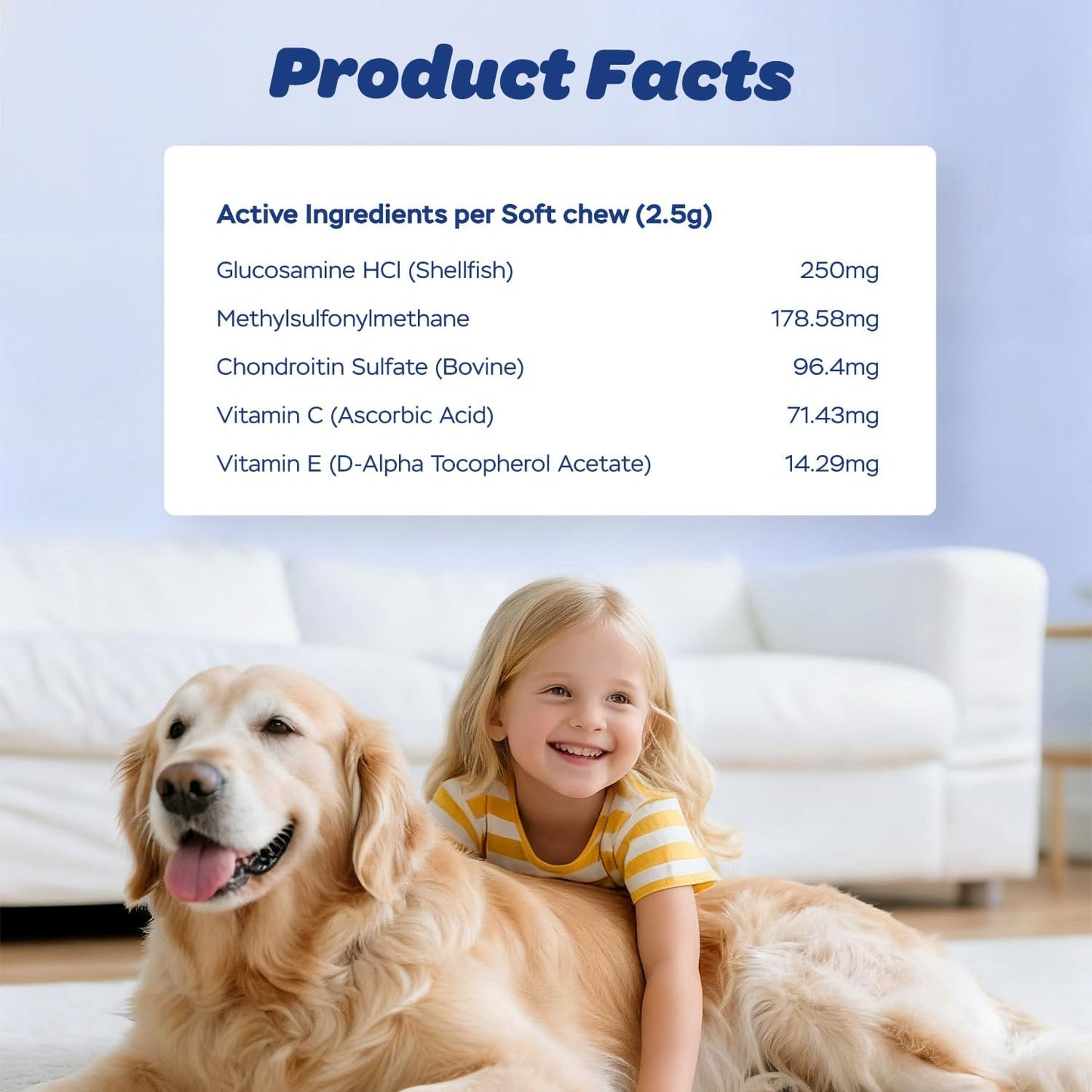 Xiderdl Hip & Joint Chews for Dogs product facts image showing active ingredients, including glucosamine HCl, MSM, chondroitin sulfate, vitamin C, and vitamin E, with a child and dog at home.