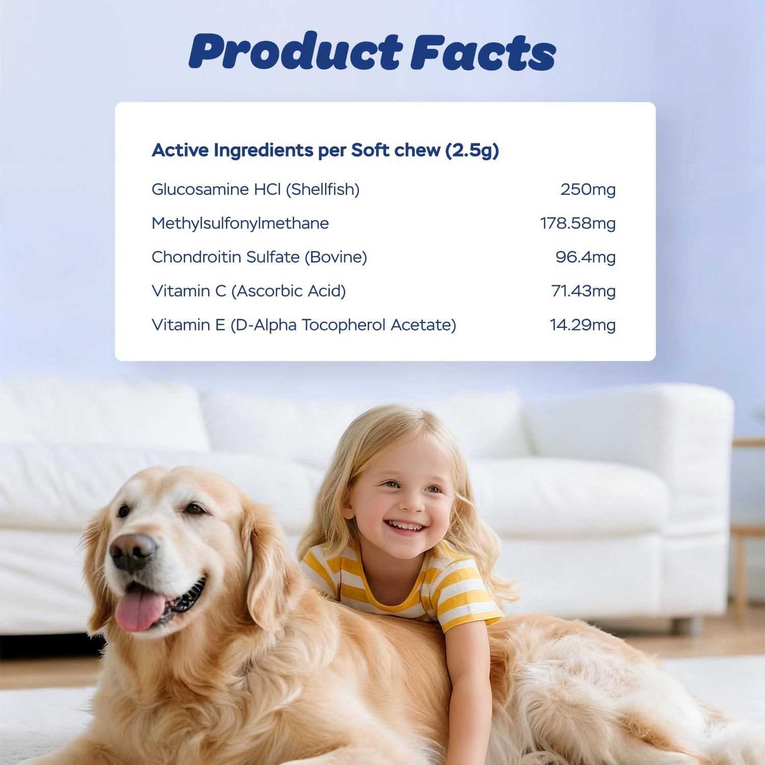 Xiderdl Hip & Joint Chews for Dogs product facts image showing active ingredients, including glucosamine HCl, MSM, chondroitin sulfate, vitamin C, and vitamin E, with a child and dog at home.
