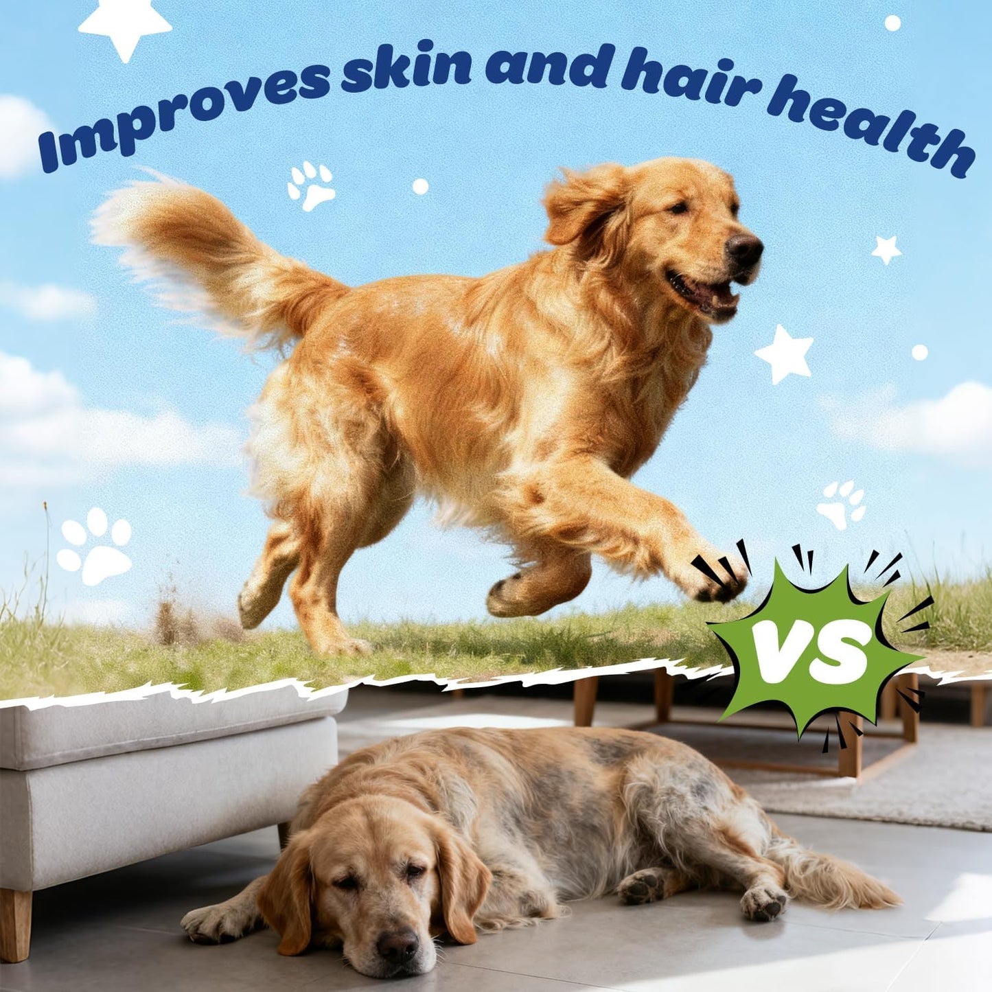 Golden retriever comparison image showing active and tired dogs, highlighting Xiderdl Multivitamin Chews for skin and coat health support.