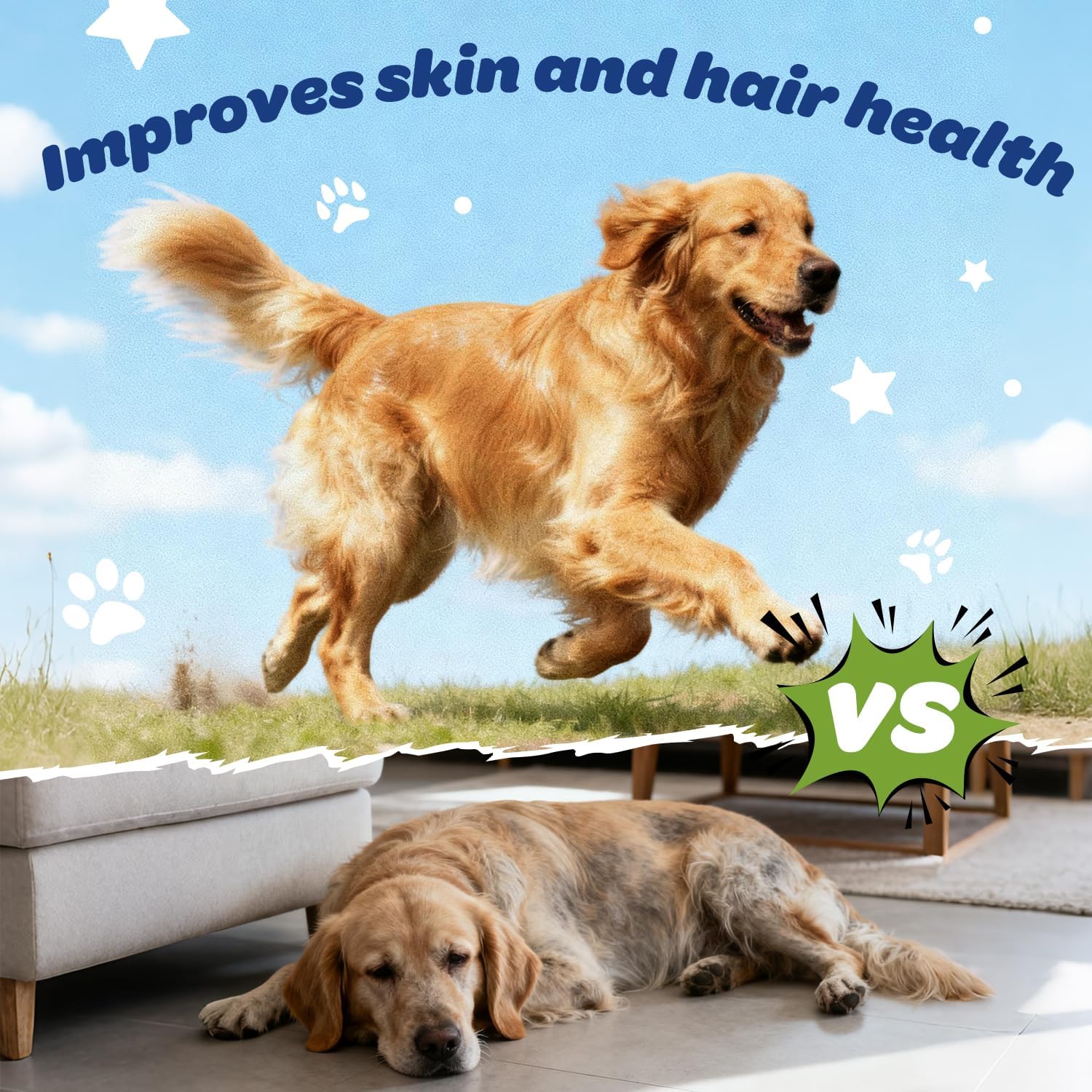 Golden retriever comparison image showing active and tired dogs, highlighting Xiderdl Multivitamin Chews for skin and coat health support.