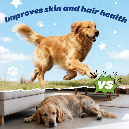 Golden retriever comparison image showing active and tired dogs, highlighting Xiderdl Multivitamin Chews for skin and coat health support.
