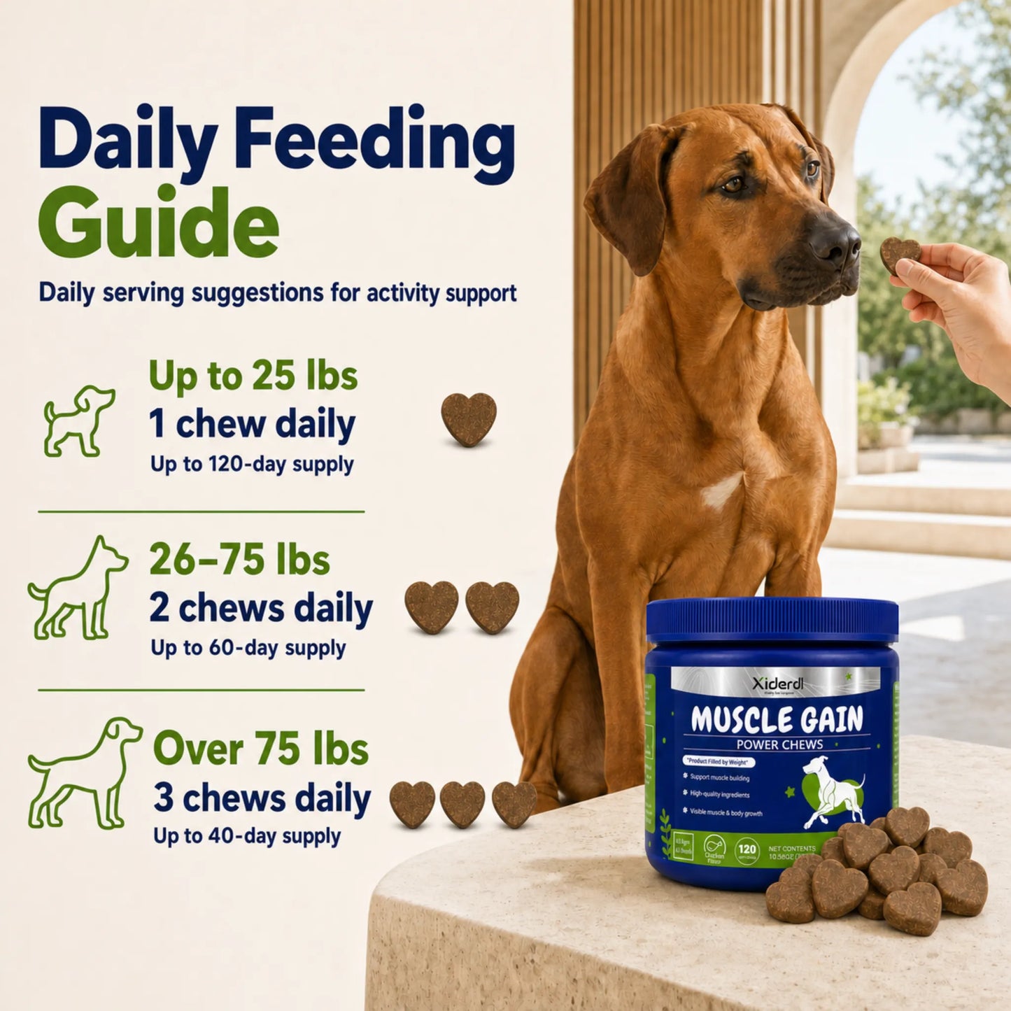 Daily feeding guide for Xiderdl Muscle Gain Power Chews based on a dog’s weight