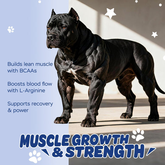Xiderdl Muscle Gain Power Chews for Dogs image showing a strong dog with lean muscle support, BCAAs, L-arginine, recovery, and strength benefits.