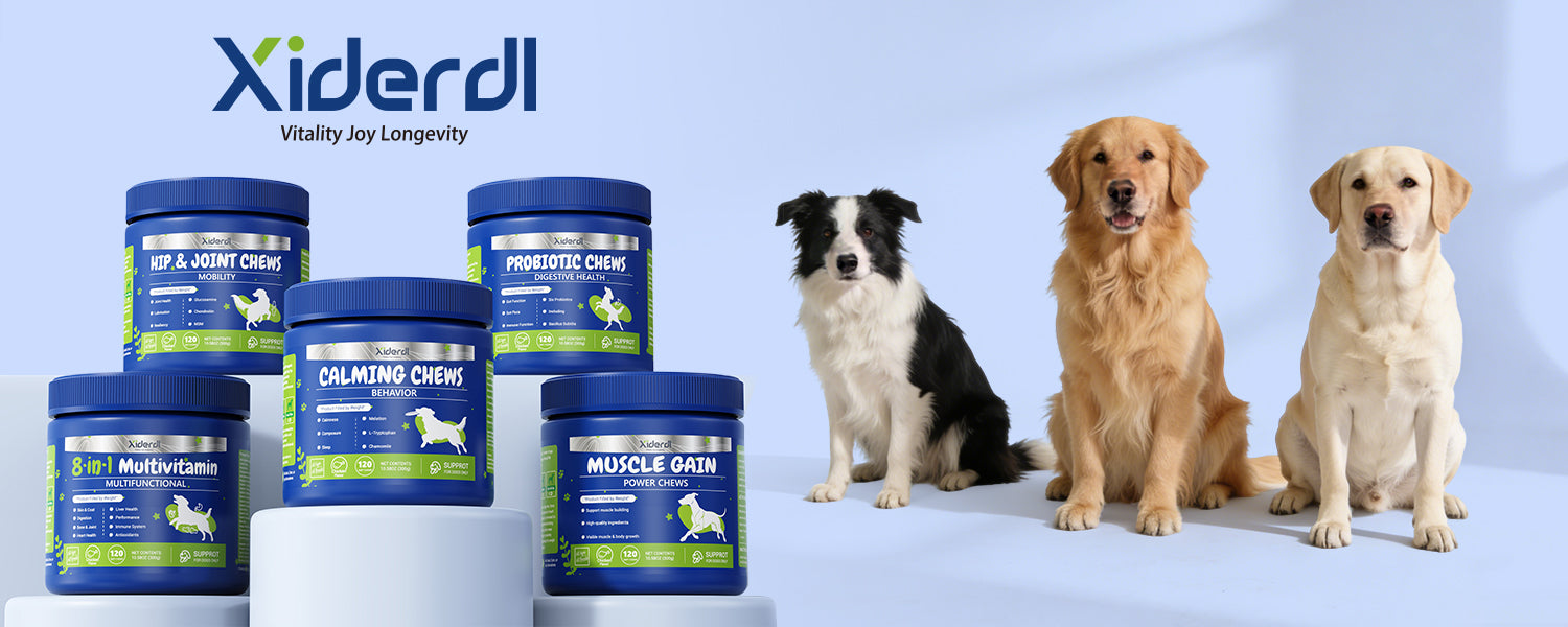 Xiderdl Pets dog supplements product lineup featuring calming chews, probiotic chews, hip and joint chews, multivitamin chews, and muscle gain chews with three dogs.