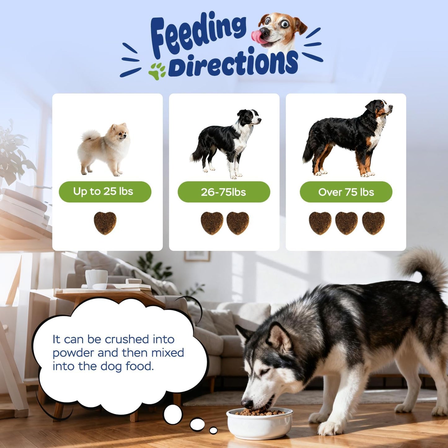 Xiderdl Probiotic Chews for Dogs feeding directions image showing weight-based serving amounts for small, medium, and large dogs, with a husky eating from a bowl.