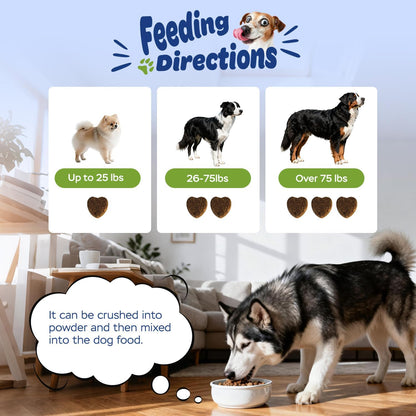 Xiderdl Probiotic Chews for Dogs feeding directions image showing weight-based serving amounts for small, medium, and large dogs, with a husky eating from a bowl.