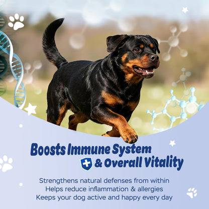Xiderdl Probiotic Chews for Dogs image showing an active rottweiler outdoors, highlighting immune system support, overall vitality, and daily wellness.