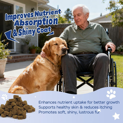 Xiderdl Probiotic Chews for Dogs image showing a golden retriever with an owner outdoors, highlighting nutrient absorption, skin and coat support, and shiny coat health.