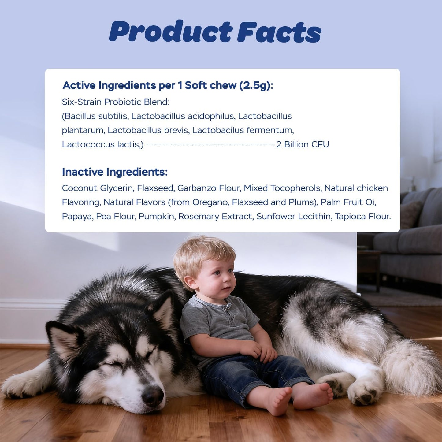 Xiderdl Probiotic Chews for Dogs product facts image showing a six-strain probiotic blend, inactive ingredients, and a child sitting beside a dog at home.