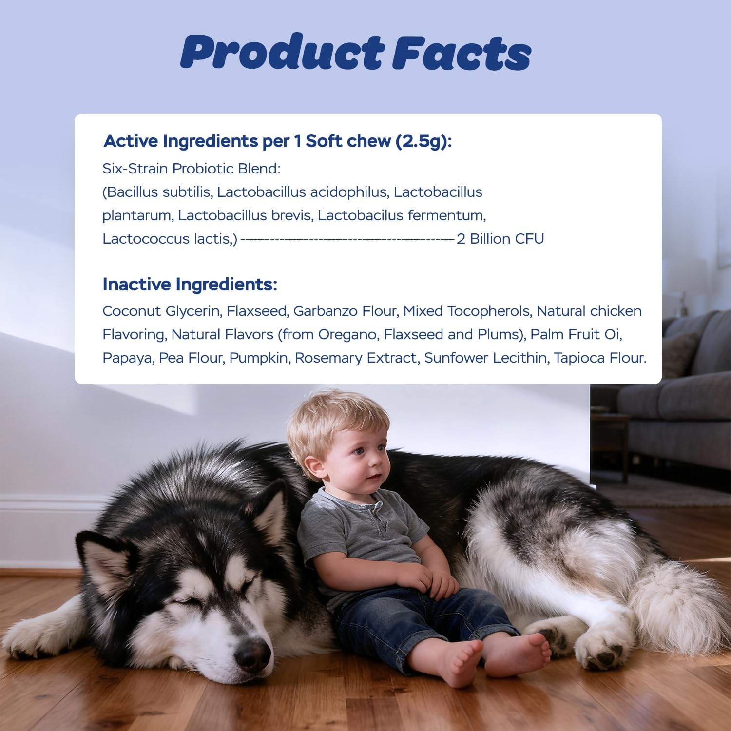 Xiderdl Probiotic Chews for Dogs product facts image showing a six-strain probiotic blend, inactive ingredients, and a child sitting beside a dog at home.
