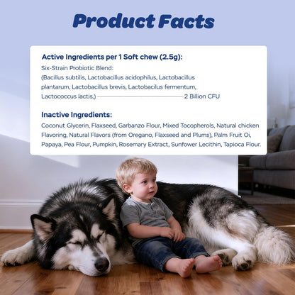 Xiderdl Probiotic Chews for Dogs product facts image showing a six-strain probiotic blend, inactive ingredients, and a child sitting beside a dog at home.